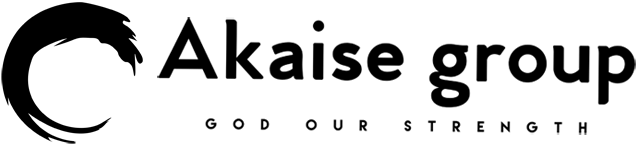 AKAISE GROUP LLC
