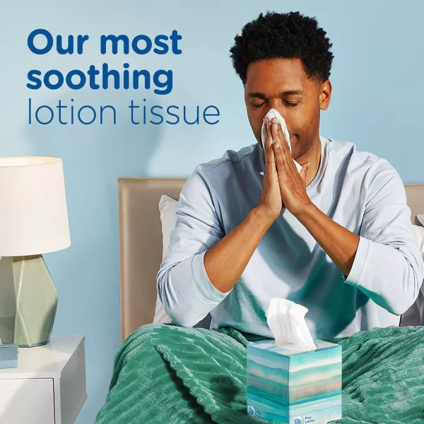 Puffs Plus Lotion 2-Ply Facial Tissues 12 Cube Boxes, 72 tissues/box - Image 7