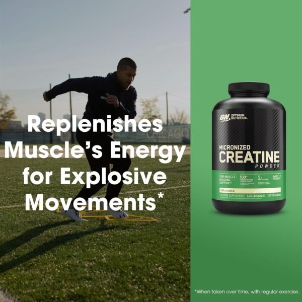 Optimum Nutrition Creatine Powder, Unflavored, 600 Gram - Image 3