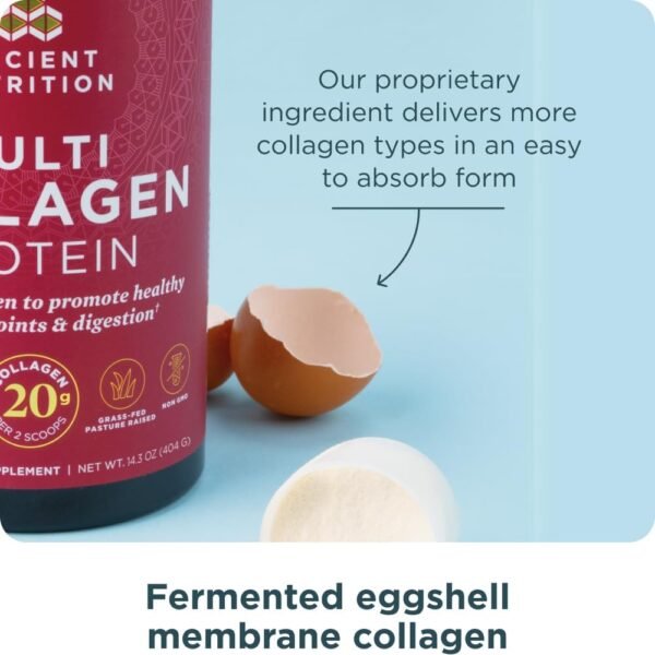 Ancient Nutrition Collagen Powder Protein with Probiotics, Unflavored Multi Collagen Protein with Vitamin C, 45 Servings, Hydrolyzed Collagen Peptides Supports Skin and Nails, Gut Health, 16oz - Image 5