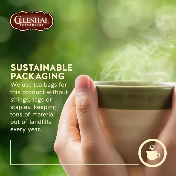 Celestial Seasonings Fruit Tea Sampler, 18 ct - Image 4