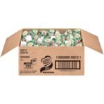 Nestle Coffee mate Coffee Creamer, Irish Creme, Concentrated Liquid Creamer Singles, Non Dairy, No Refrigeration, 0.375 fl oz Tubs (Pack of 180)