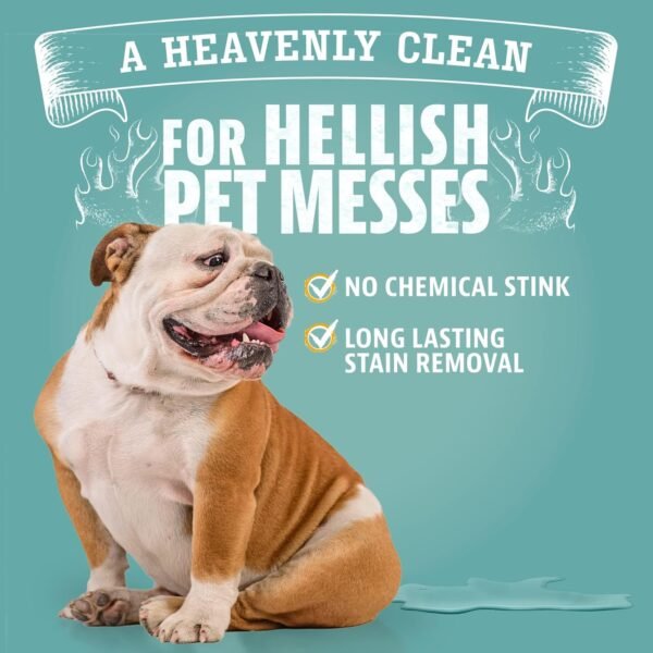 Angry Orange Stain Remover - 32oz Enzyme Pet Cleaner - Dog & Cat Urine Destroyer and Stain Remover - Citrus Spray Cleaning Solution - Puppy Supplies - Image 4