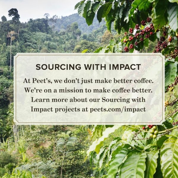 Peet's Coffee, Keurig K-Cup Pods Variety Pack - Major Dickason's Blend, Big Bang, French Roast, Café Domingo, Organic Alma De La Tierra, House Blend, 60 Count (6 Boxes of 10 K-Cup Pods) - Image 6