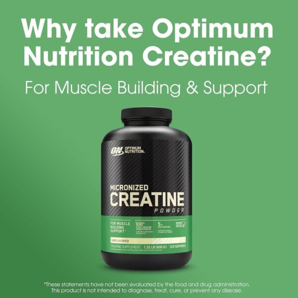 Optimum Nutrition Creatine Powder, Unflavored, 600 Gram - Image 2